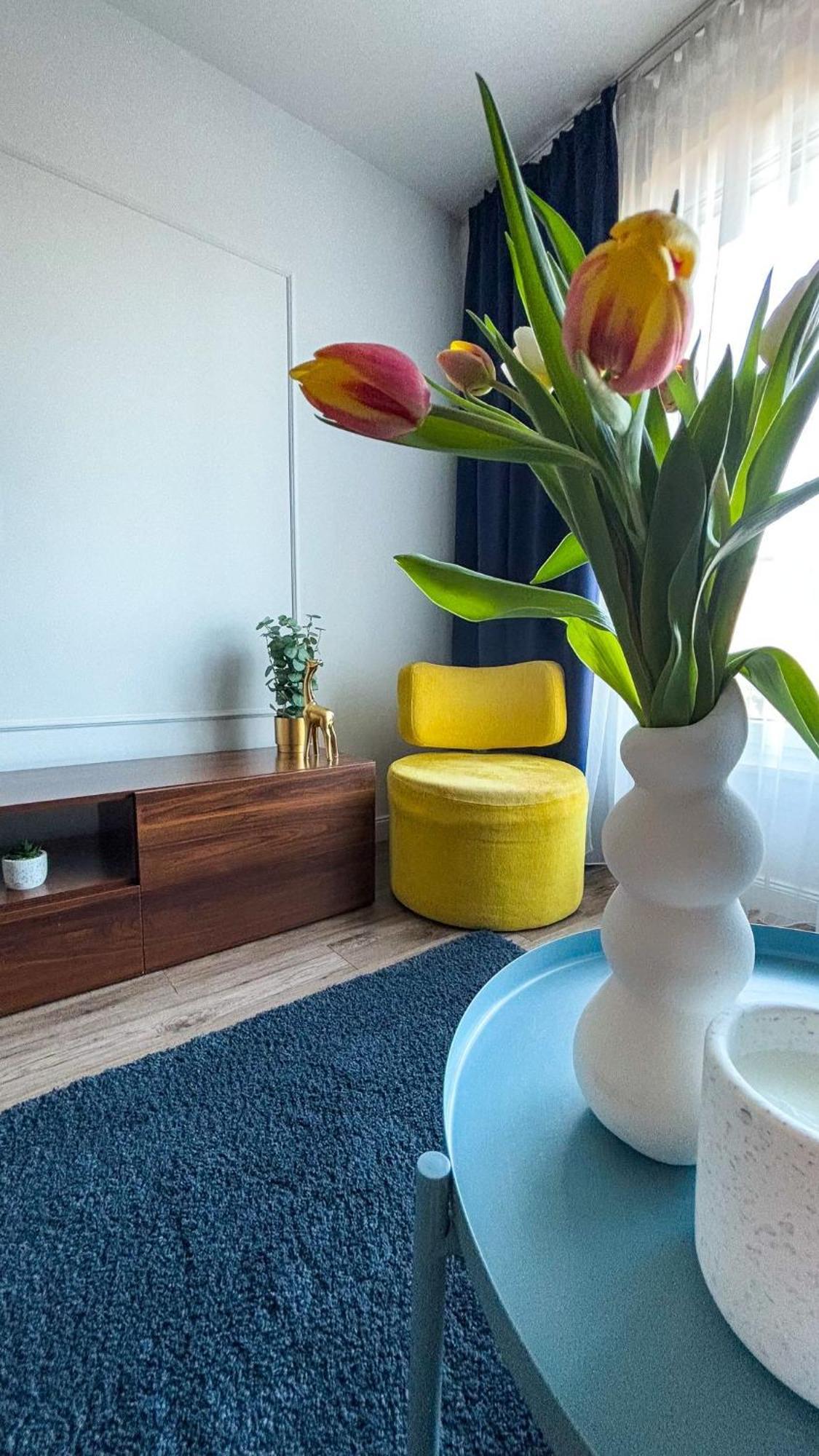 Royal Blue Place Cracow Apartment